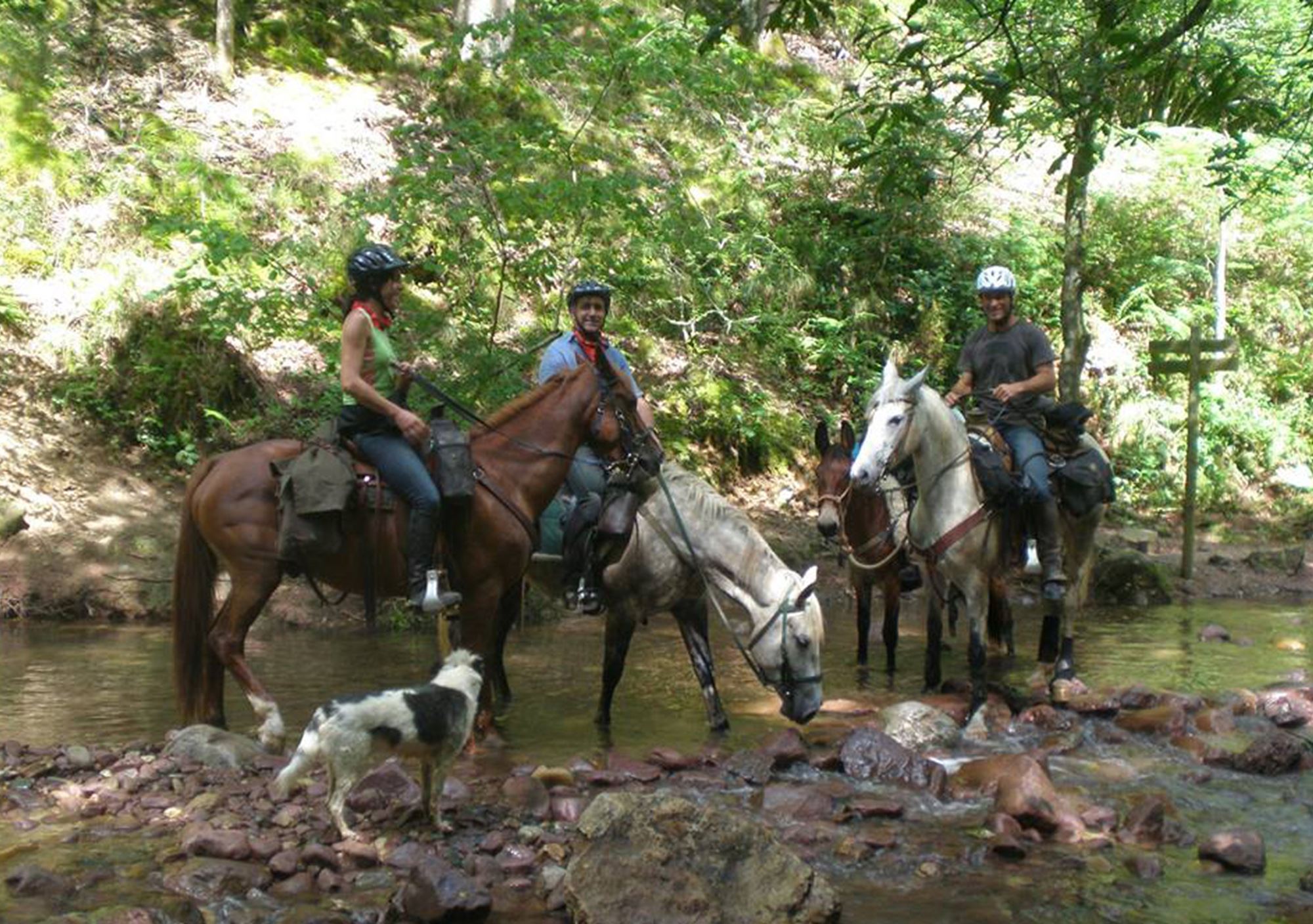 visitas guiadas fin de semana finde rutas equitación alojamiento rural Escapadas a Caballo en Las Encartaciones Sopuerta Vizcaya